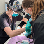A doctor and staff during a dental procedure
